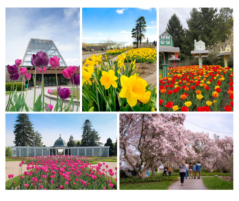 Niagara Falls Tourism - Spring